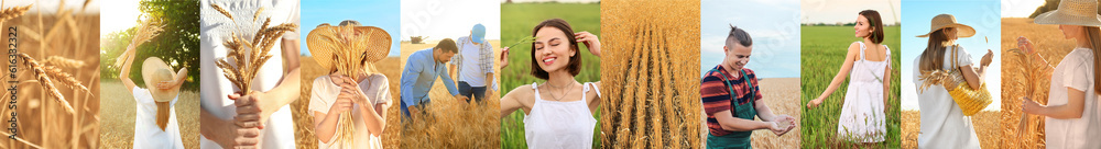 Collage of farmers and wheat field