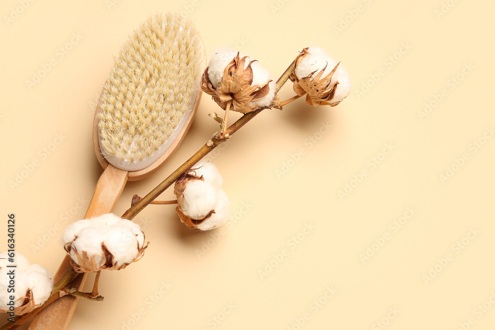 Massage brush and cotton branch on color background, closeup