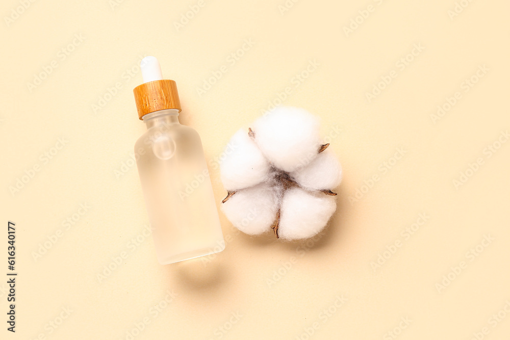 Bottle of essential oil and cotton flower on color background