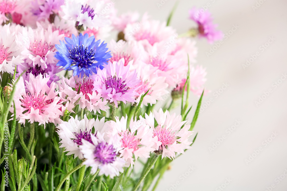 Bouquet of beautiful cornflowers, closeup