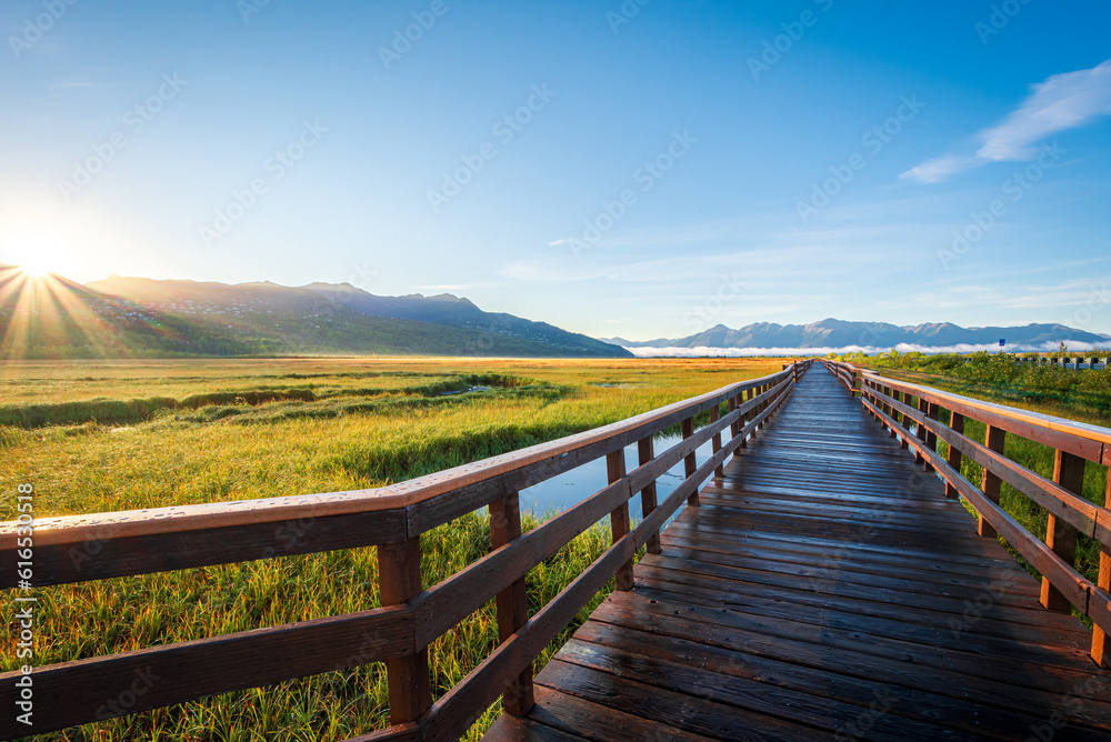 A wooden boardwalk in Potter Marsh Bird Sanctuary, Alaska.