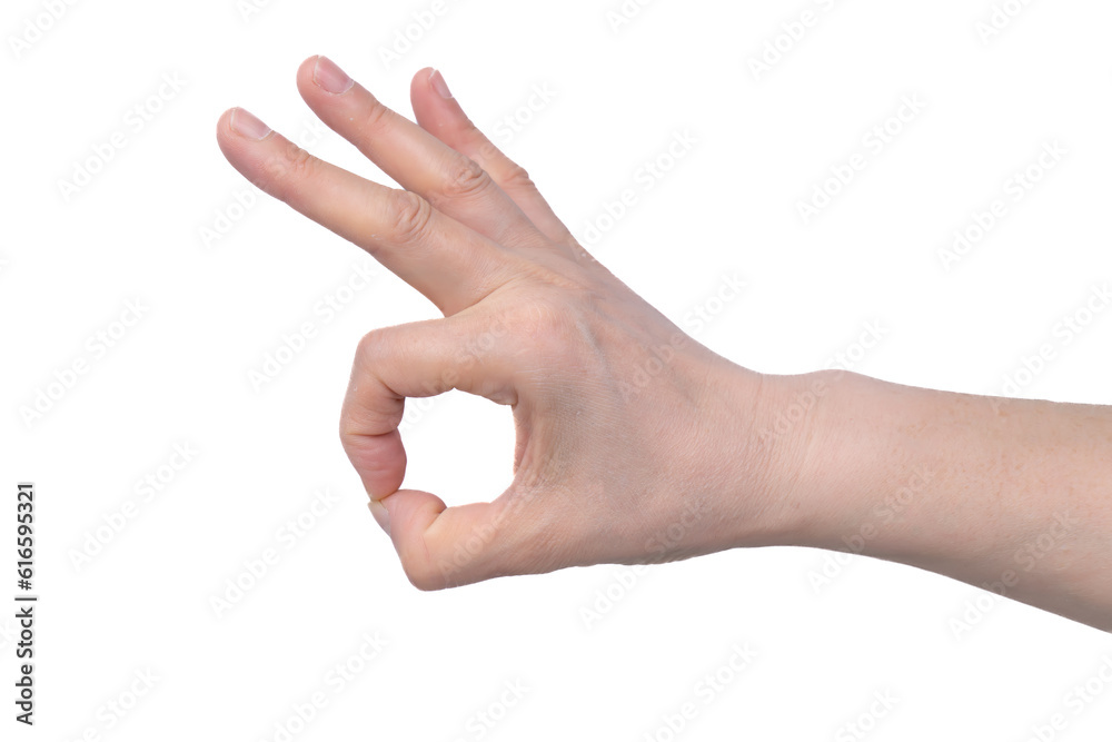 Close-up of beautiful womans hand isolated on white background.