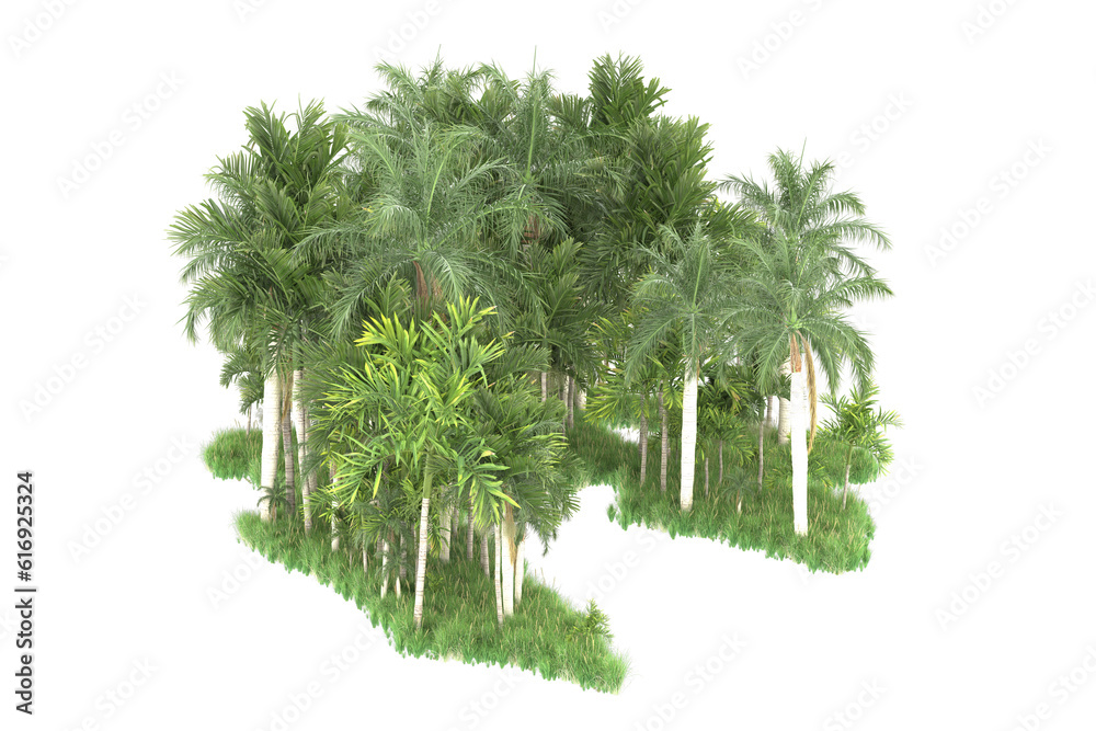 Palm trees isolated on transparent background. 3d rendering - illustration