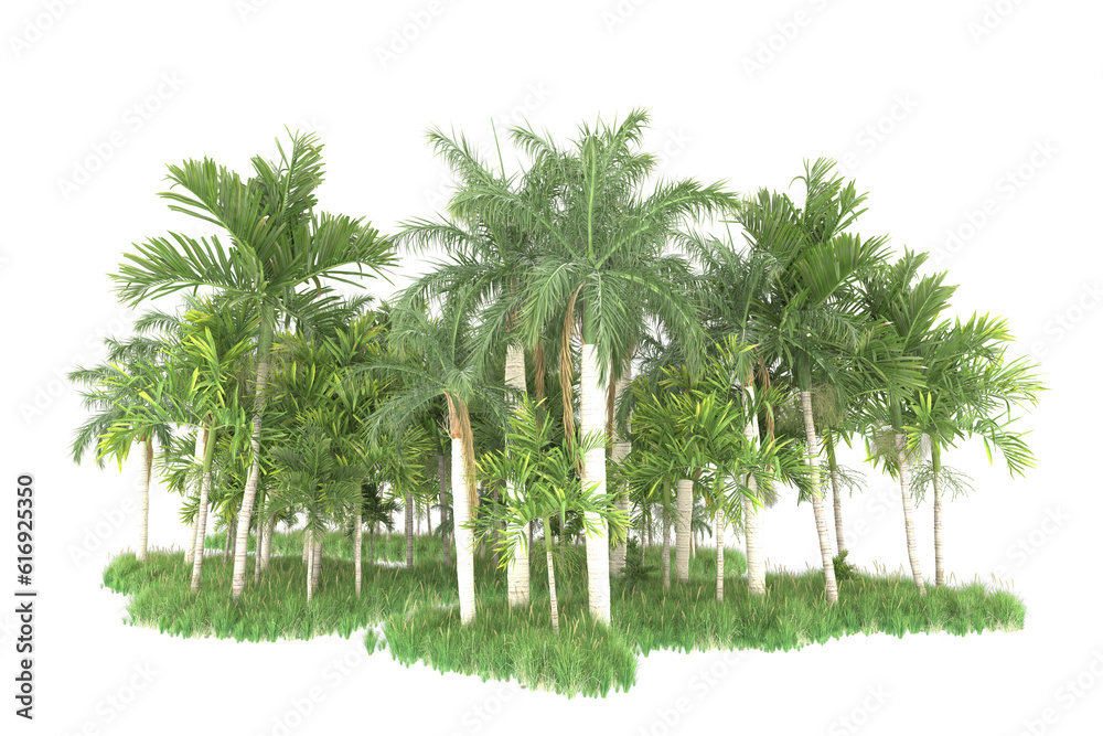 Palm trees isolated on transparent background. 3d rendering - illustration