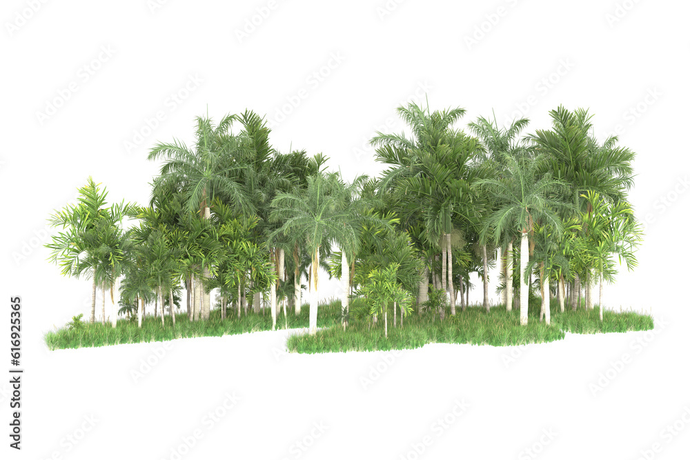 Palm trees isolated on transparent background. 3d rendering - illustration