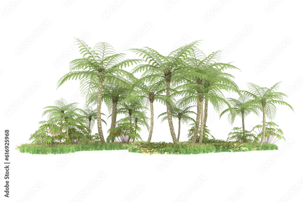 Tropical forest isolated on transparent background. 3d rendering - illustration