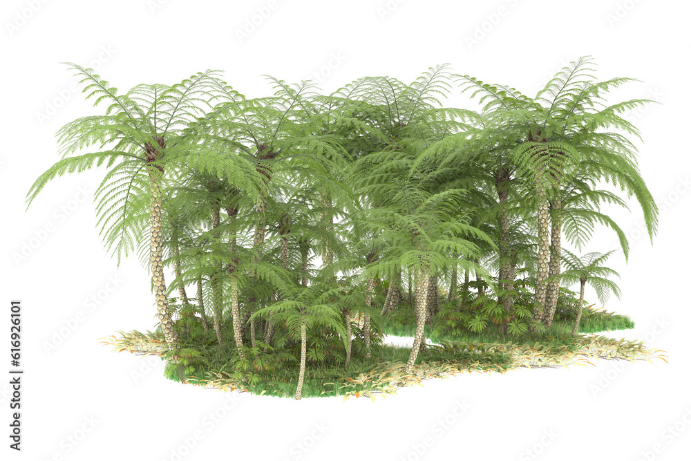 Tropical forest isolated on transparent background. 3d rendering - illustration