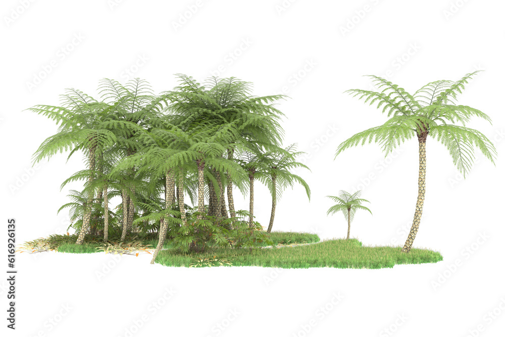 Tropical forest isolated on transparent background. 3d rendering - illustration