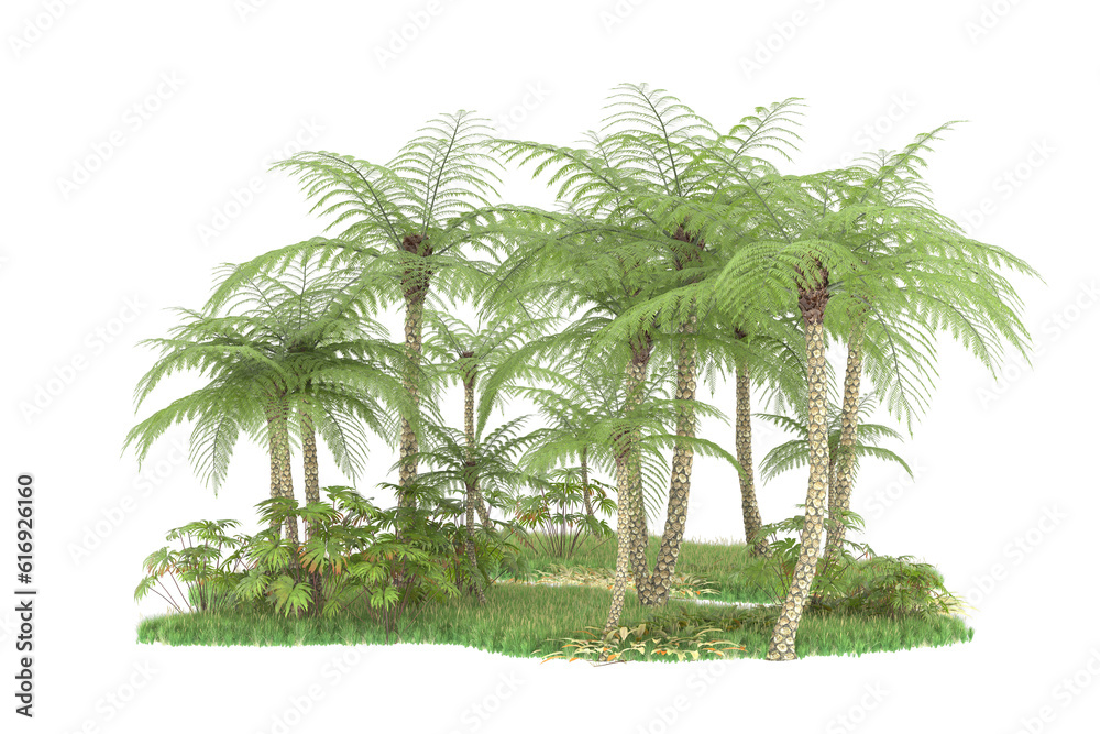 Tropical forest isolated on transparent background. 3d rendering - illustration