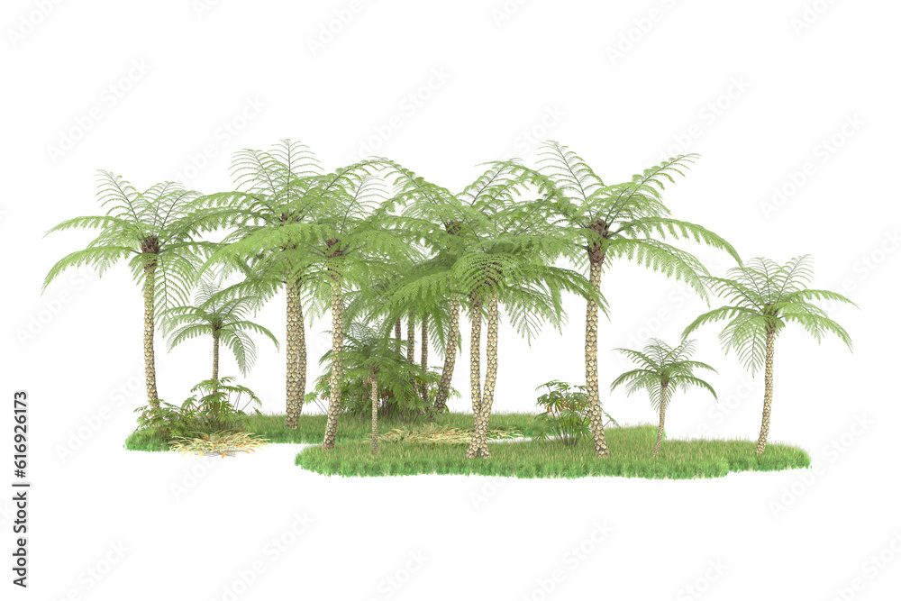 Tropical forest isolated on transparent background. 3d rendering - illustration