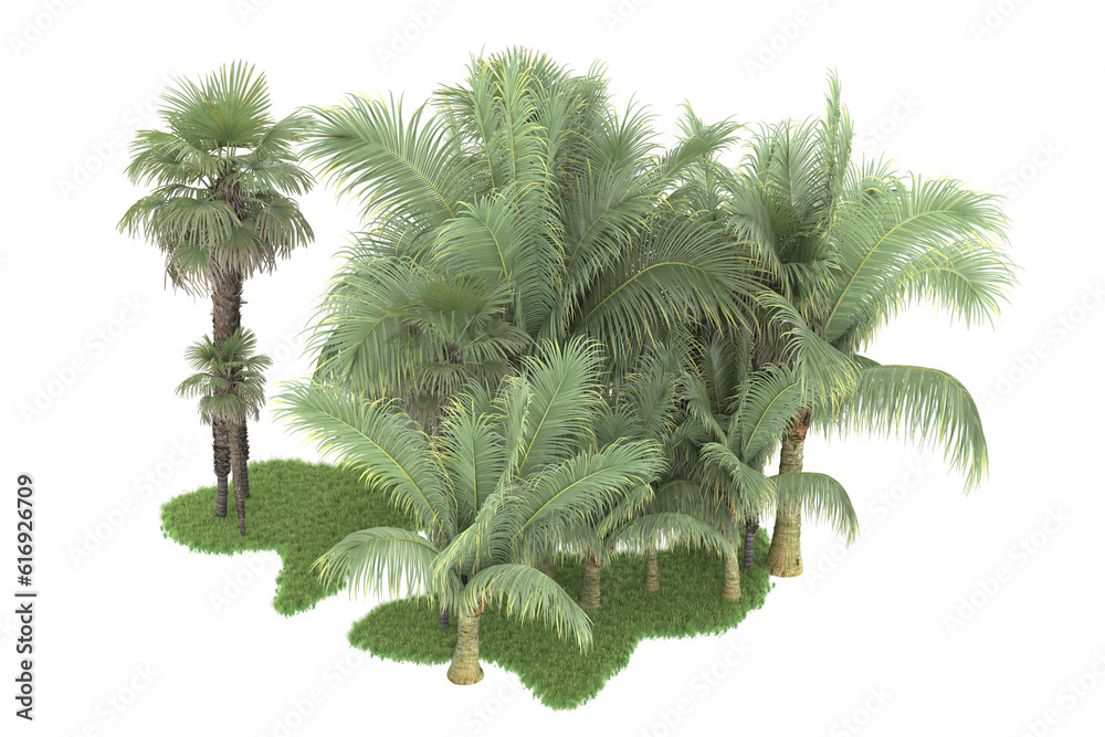 Tropical forest isolated on transparent background. 3d rendering - illustration