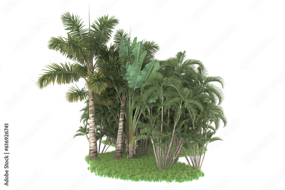 Tropical forest isolated on transparent background. 3d rendering - illustration