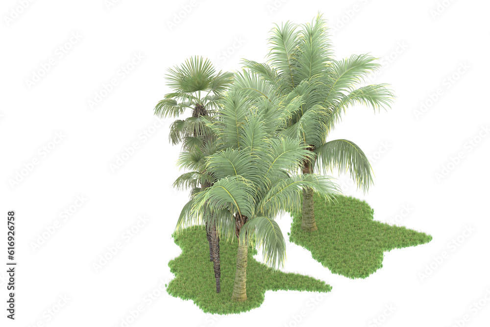 Tropical forest isolated on transparent background. 3d rendering - illustration