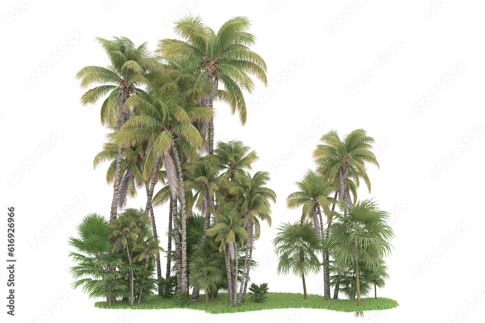 Tropical forest isolated on transparent background. 3d rendering - illustration