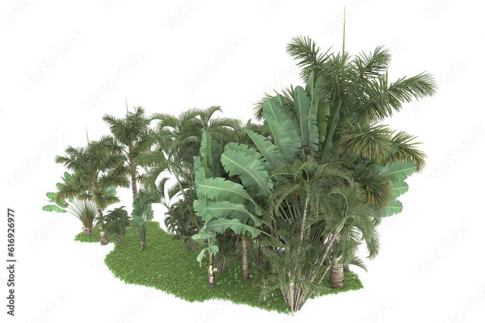 Tropical forest isolated on transparent background. 3d rendering - illustration