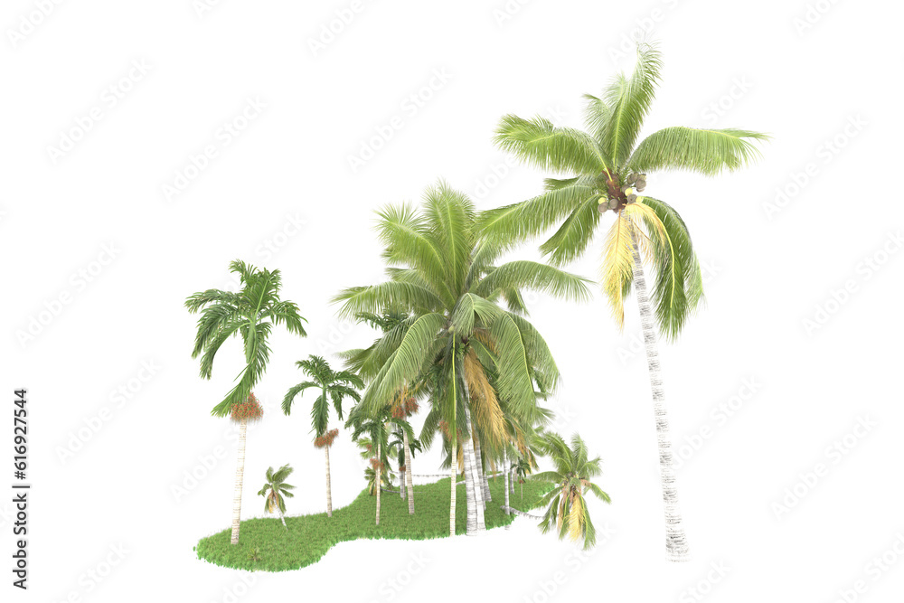 Tropical forest isolated on transparent background. 3d rendering - illustration