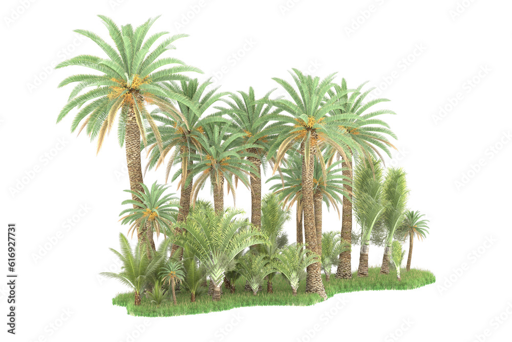 Tropical forest isolated on transparent background. 3d rendering - illustration