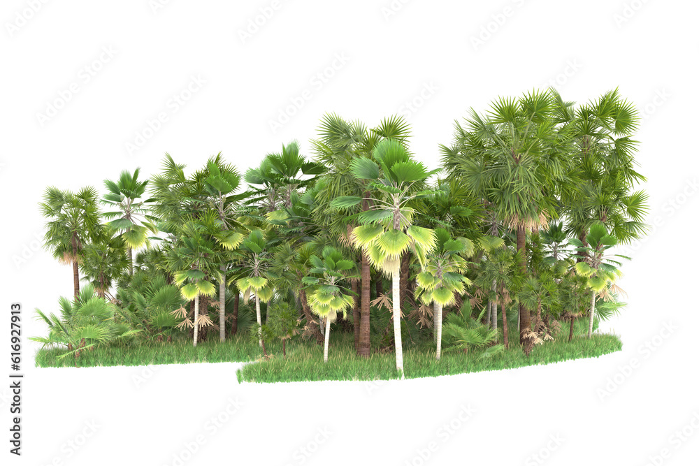 Tropical forest isolated on transparent background. 3d rendering - illustration