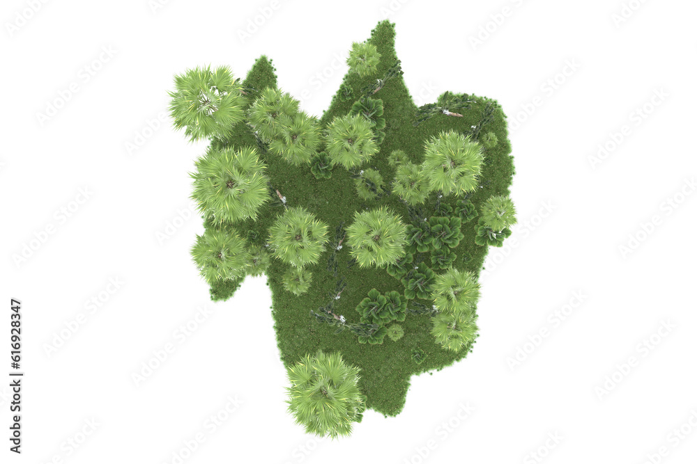 Tropical forest isolated on transparent background. 3d rendering - illustration