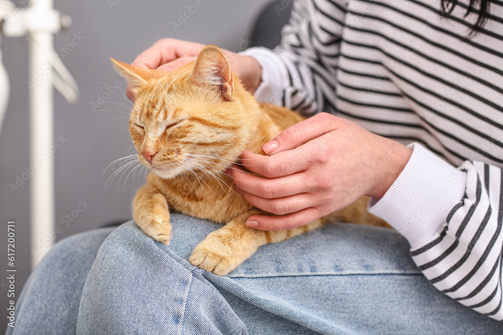 Woman with cute ginger cat sitting at home, closeup