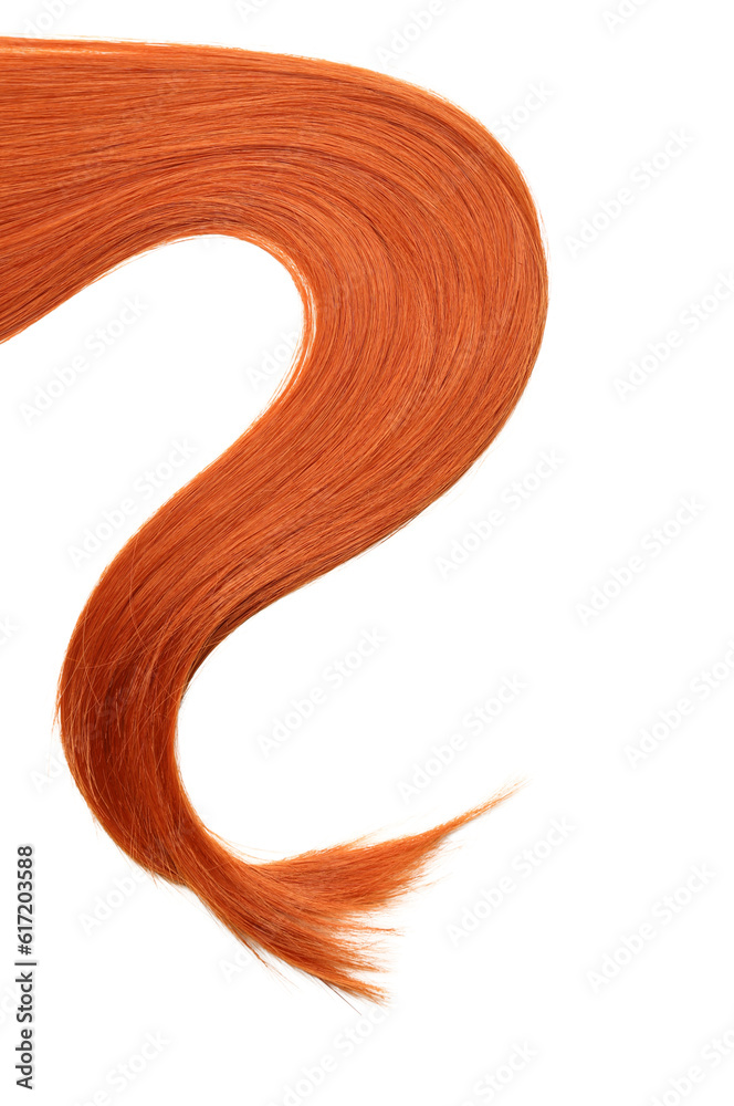 Ginger hair strand isolated on white background, closeup