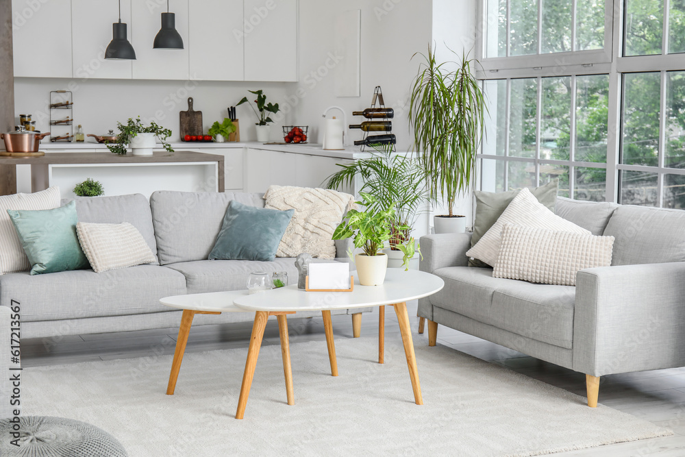 Interior of light open space kitchen with cozy grey sofas and coffee table