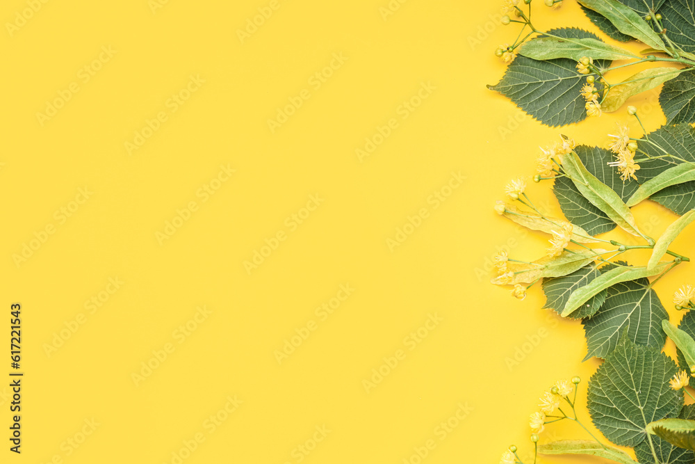 Composition with fresh linden flowers and leaves on yellow background