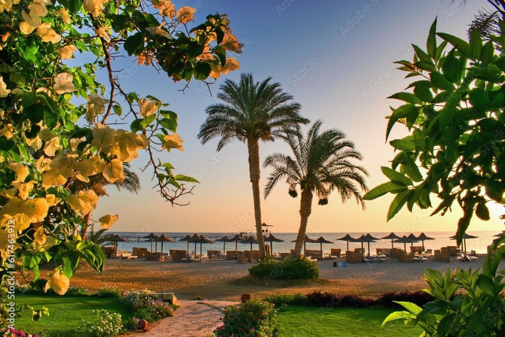 Idylic beach with palms and sun umbrelas, Red Sea, Egypt