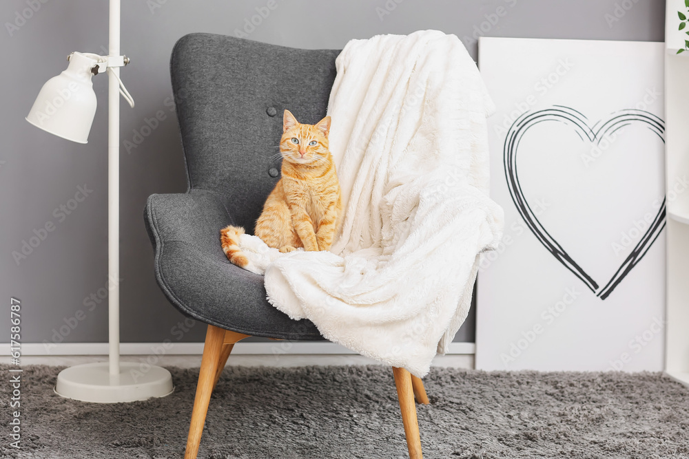 Cute ginger cat sitting on armchair at home