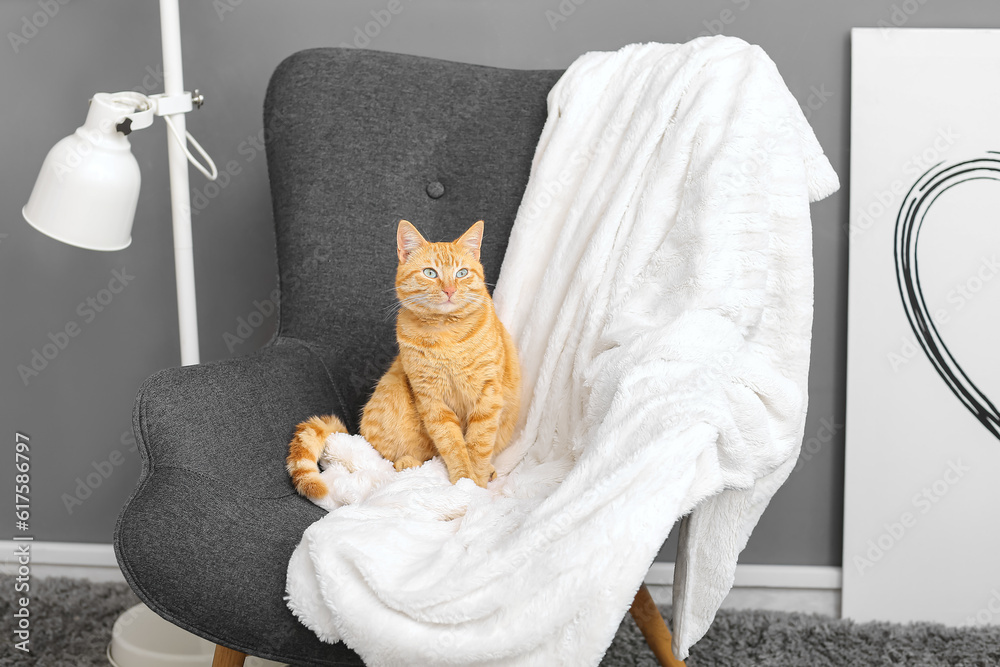 Cute ginger cat sitting on armchair at home