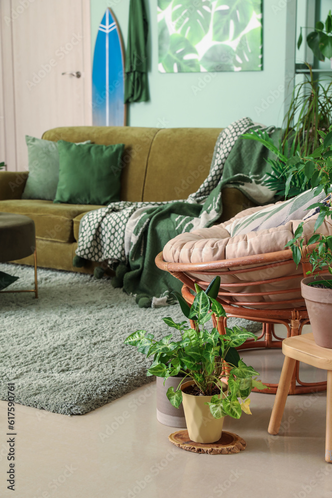 Interior of stylish living room with houseplants, sofa and armchair