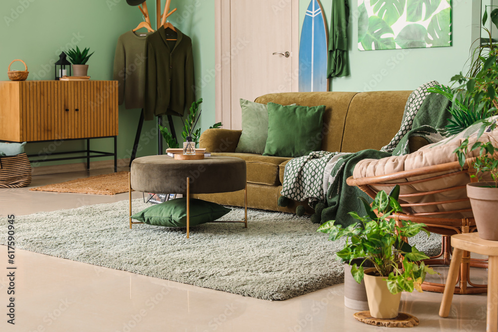 Interior of stylish living room with houseplants, sofa and armchair