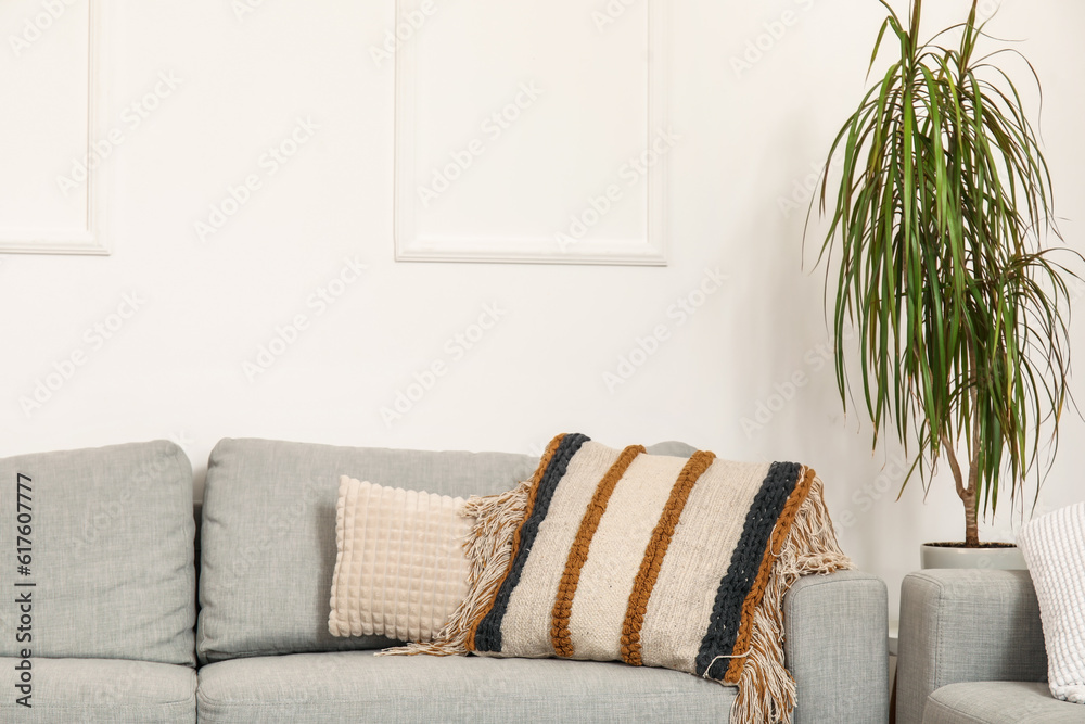 Cozy grey sofa with soft cushions and houseplant in living room, closeup