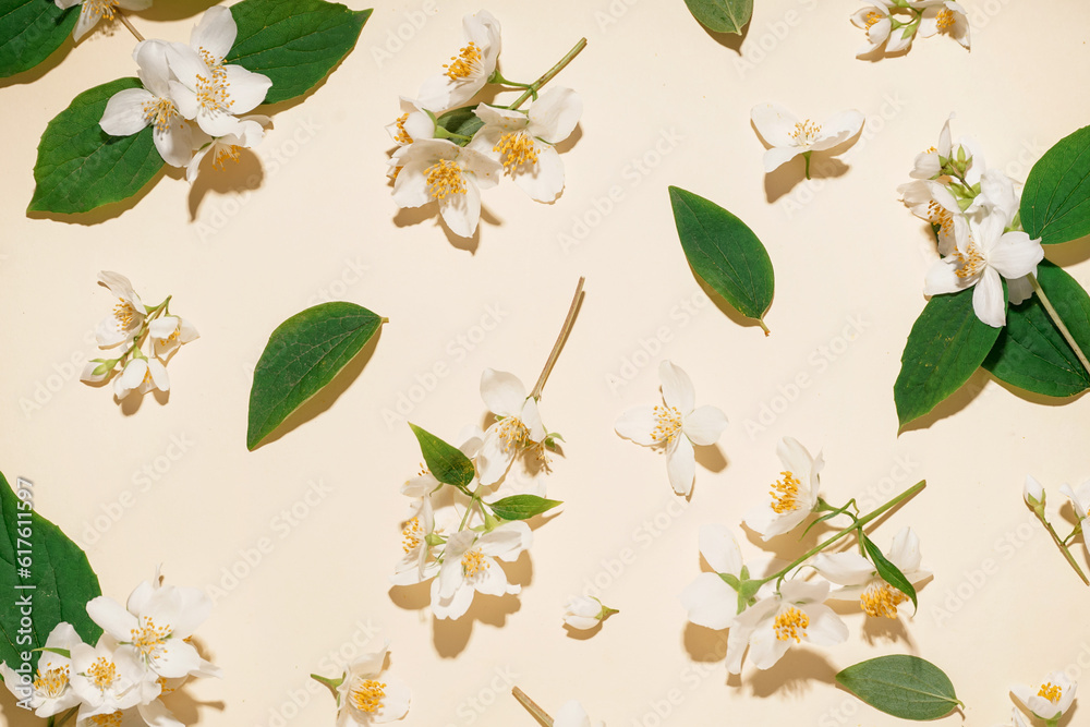 Composition with fresh jasmine flowers on color background