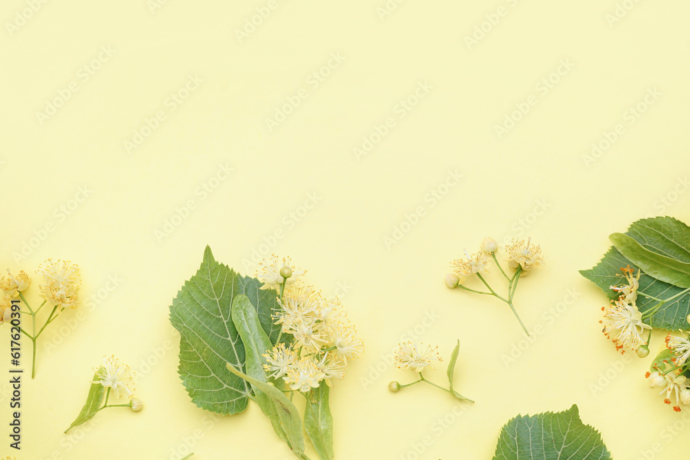 Composition with fresh linden flowers and leaves on color background