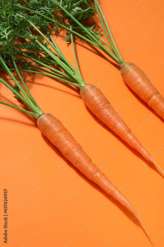 Fresh carrots with leaves on orange background