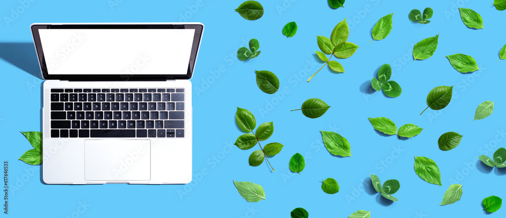 Laptop computer with green leaves - flat lay