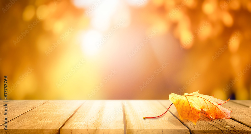 Wooden planks and orange dry leaf against the background blurred tree foliage of trees in beautiful 