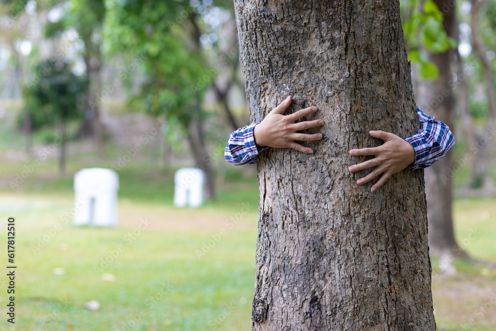 Male hand hugging a tree, concept of conservation of natural resources.