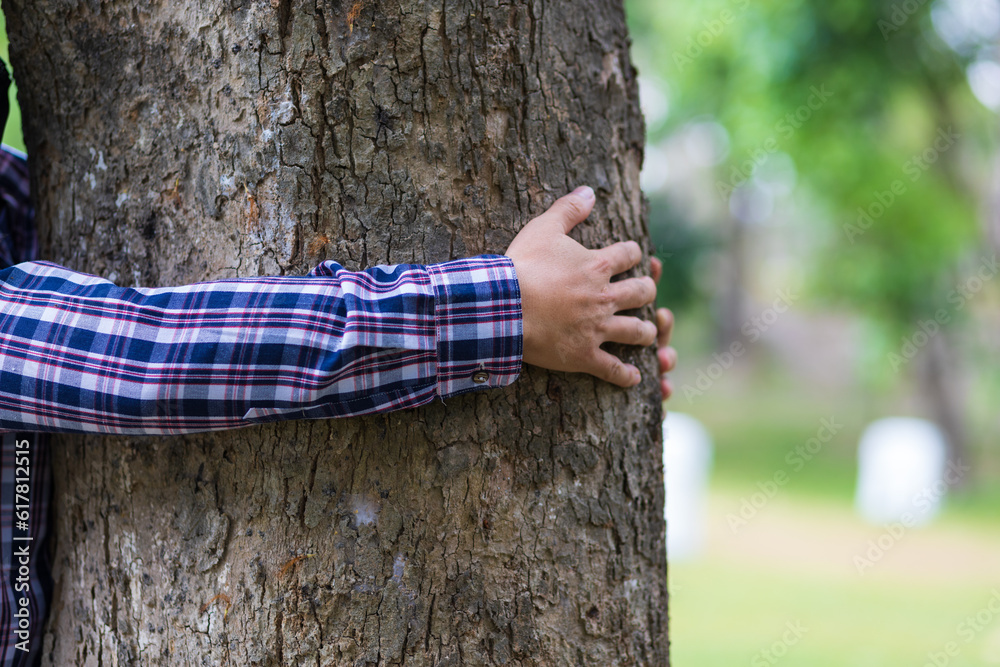 Male hand hugging a tree, concept of conservation of natural resources.