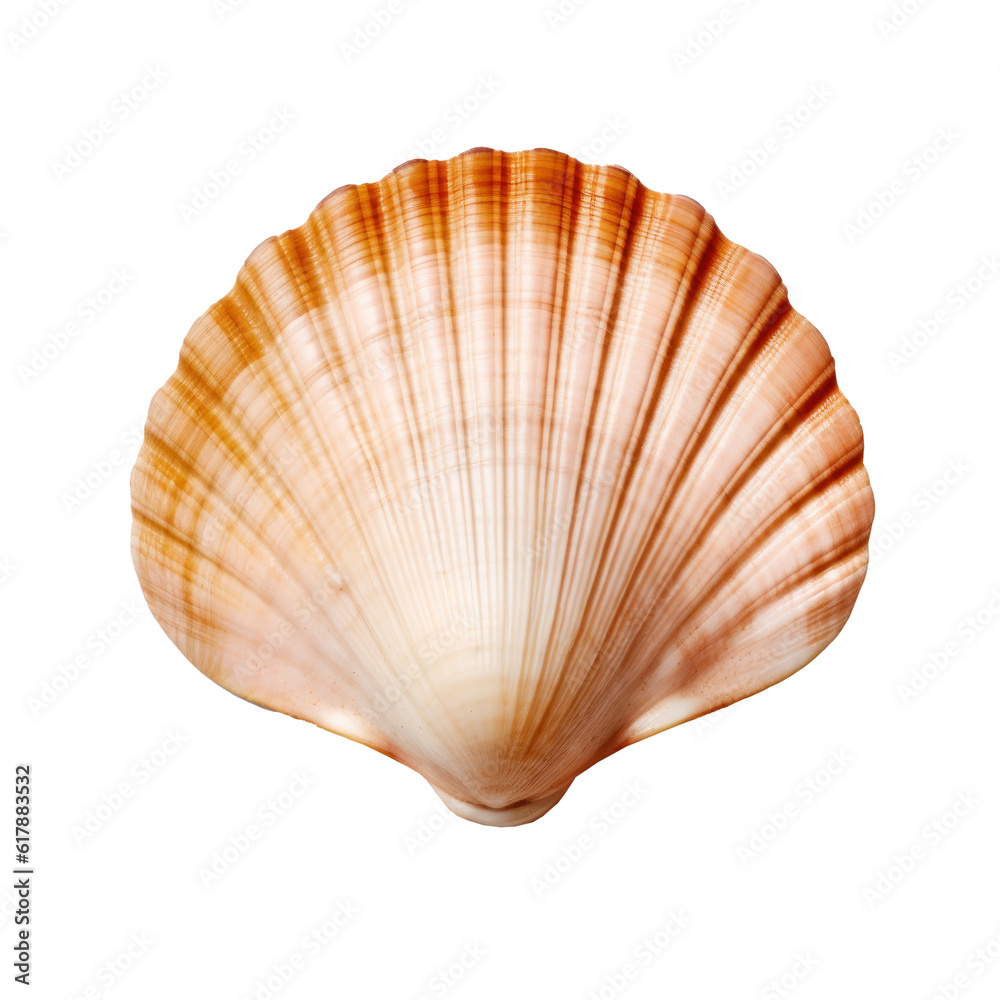 Small sea shell isolated. Illustration AI Generative.