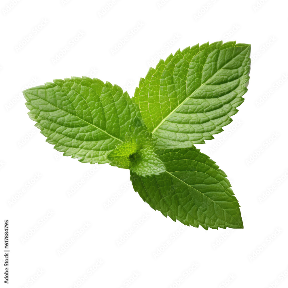 Mint leaf isolated on white. Illustration AI Generative