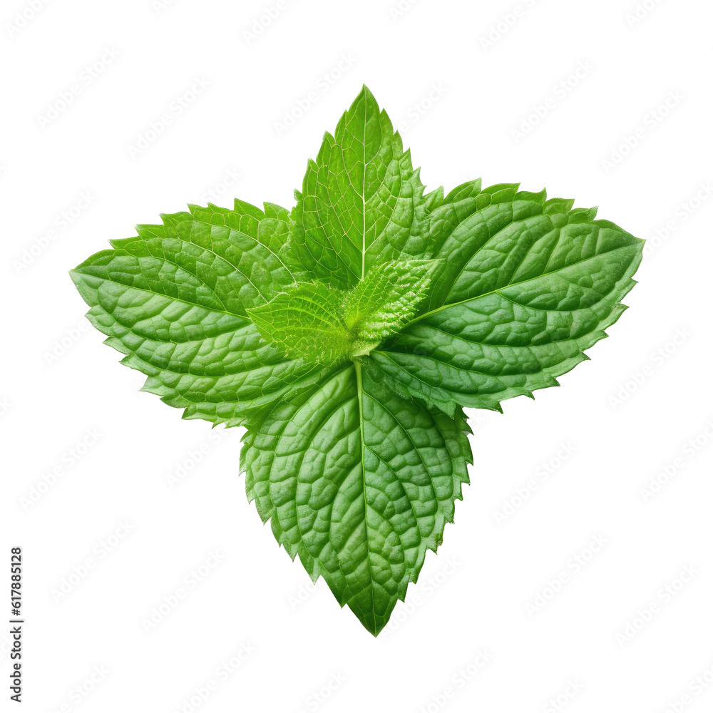 Mint leaf isolated on white. Illustration AI Generative