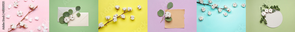 Collage of soft cotton flowers on color background