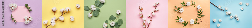 Collage of soft cotton flowers on color background