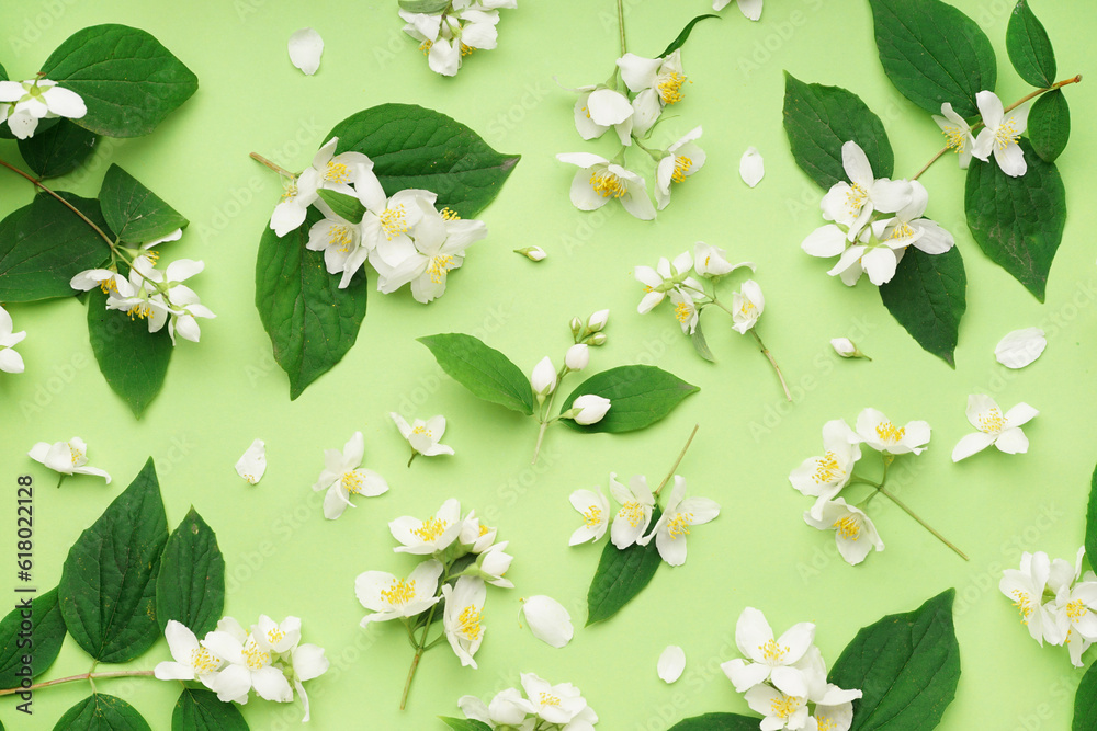 Composition with beautiful jasmine flowers and leaves on green background