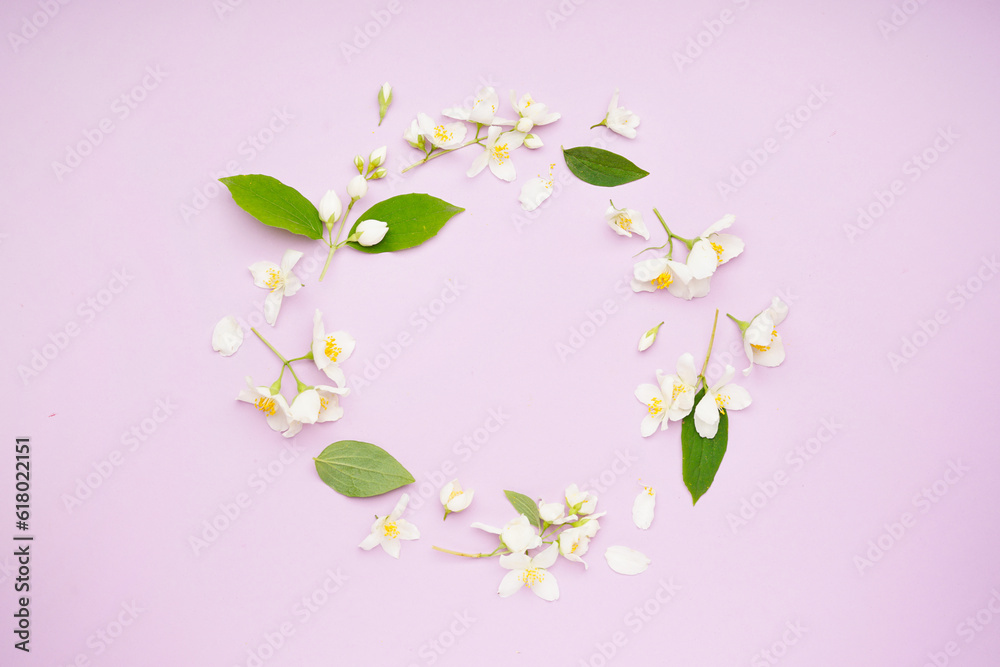 Frame made of beautiful jasmine flowers on lilac background