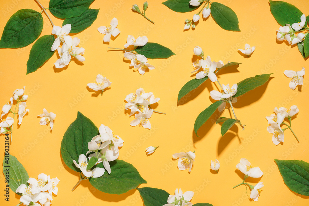 Composition with fresh jasmine flowers and leaves on color background