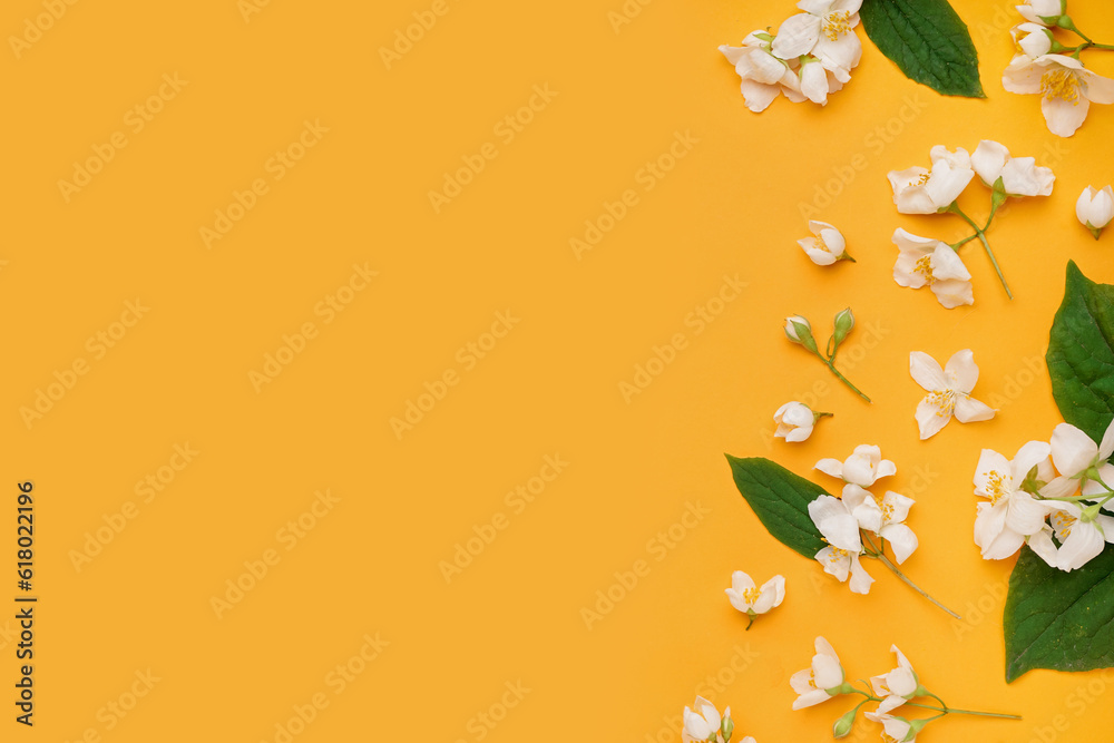 Composition with fresh jasmine flowers and leaves on color background