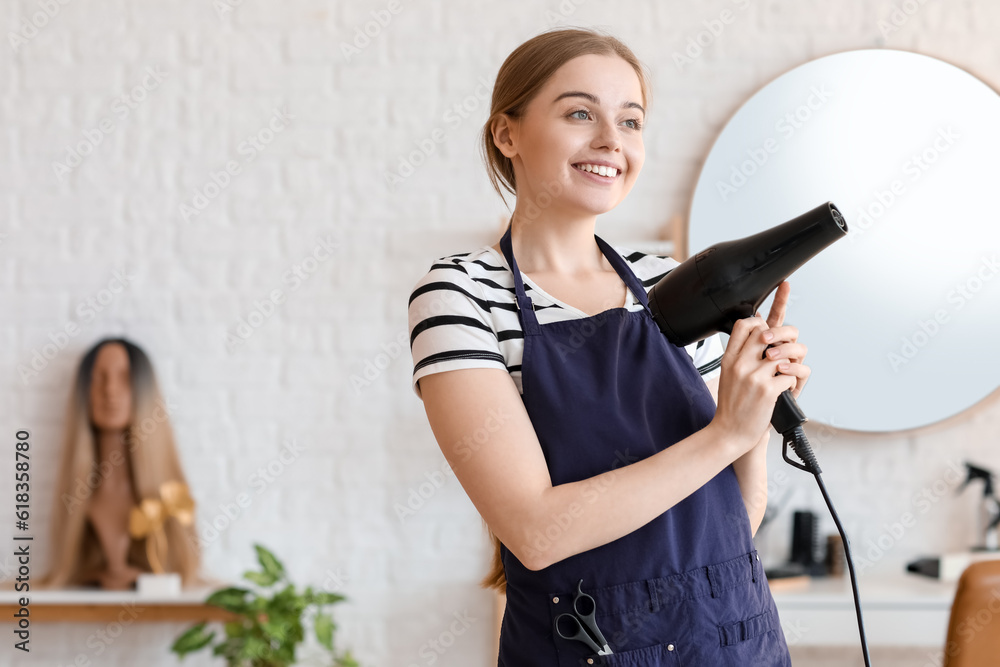 Female hairdresser with dryer in beauty salon